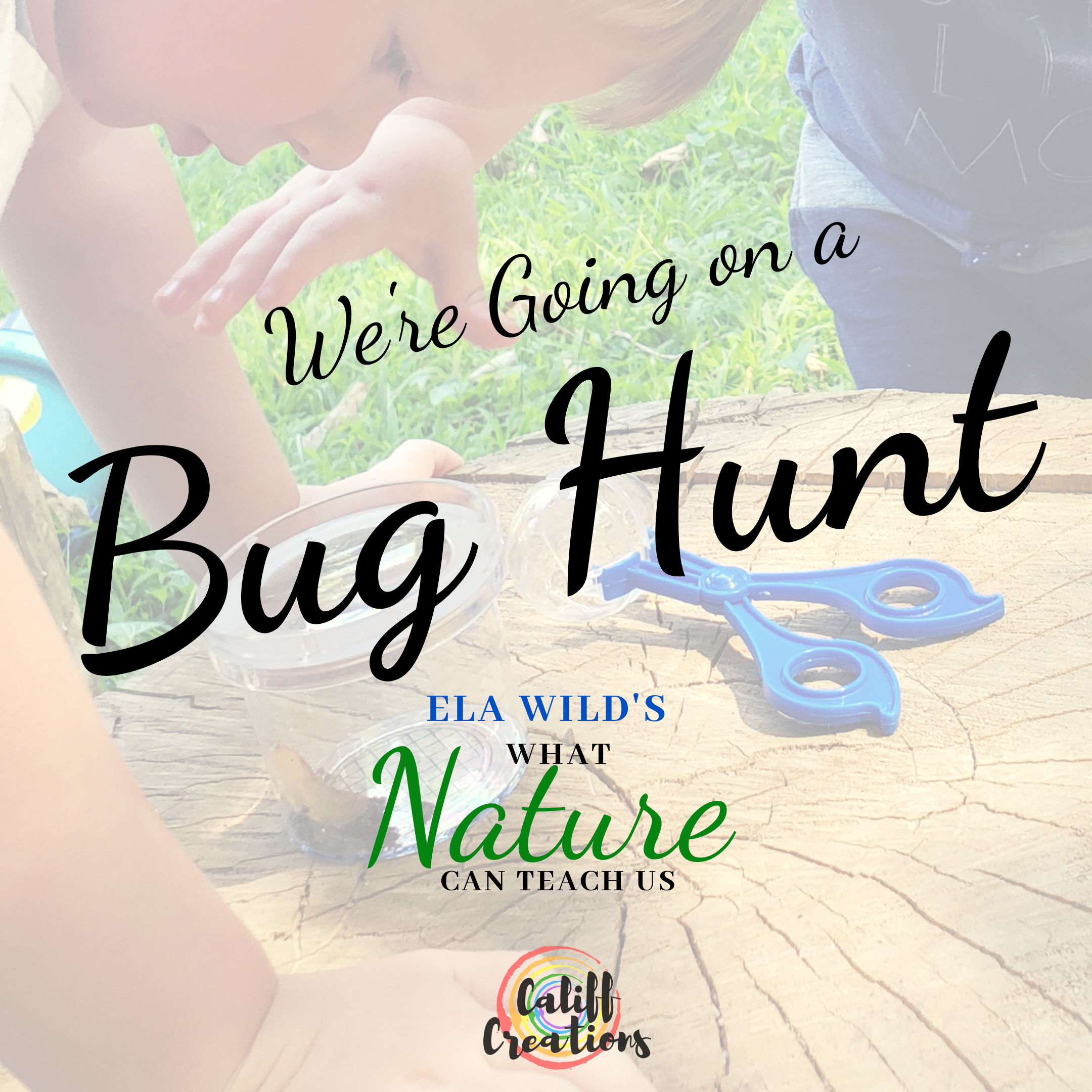 A child bug catching in the chalk grasland of the the South Downs National  Park - South Downs National Park Authority