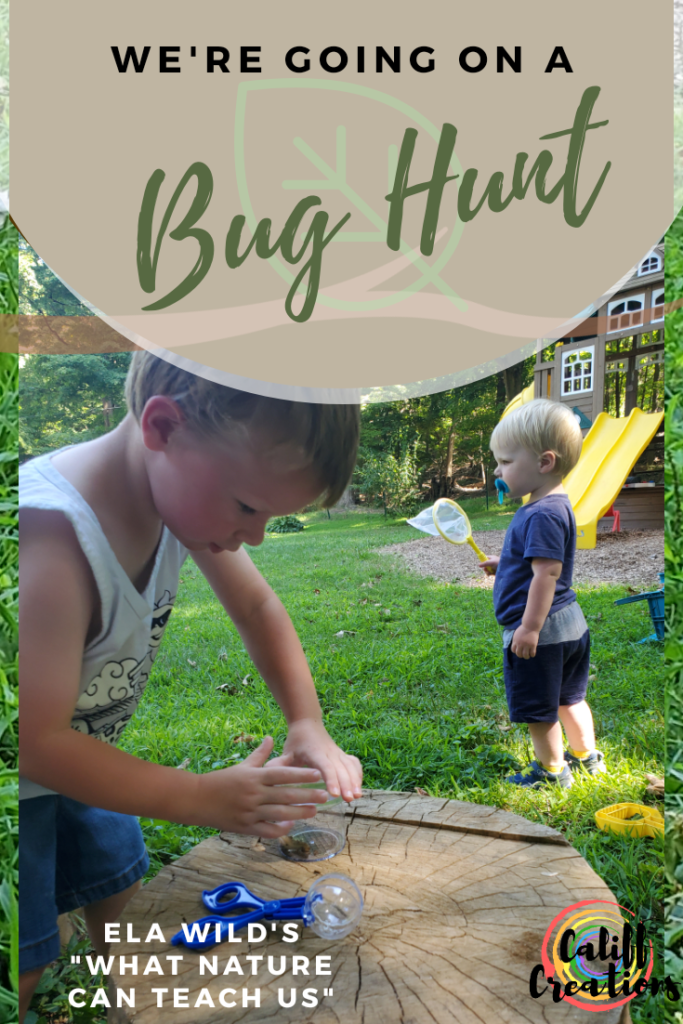 Educational Bugs Catcher Kit for Kids Outdoor Adventure Exploration In –  The Outdoor Mum