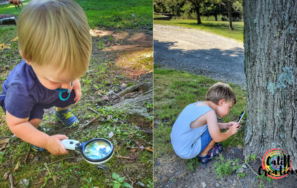 My boys on a bug hunt with magnifying glasses