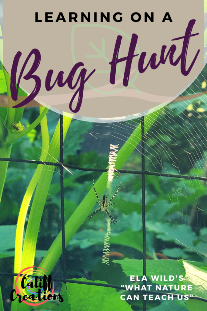 Learning on a Bug Hunt