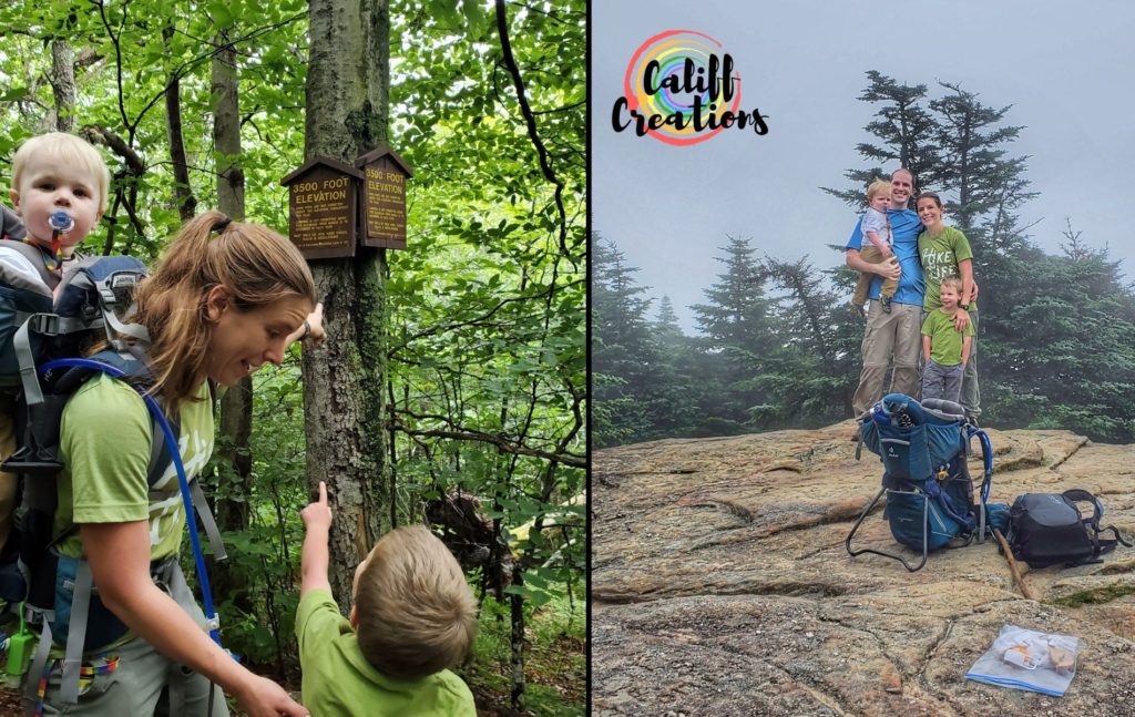 Family hike to the top of Slide Mountain to start the Catskill 3500 challenge
