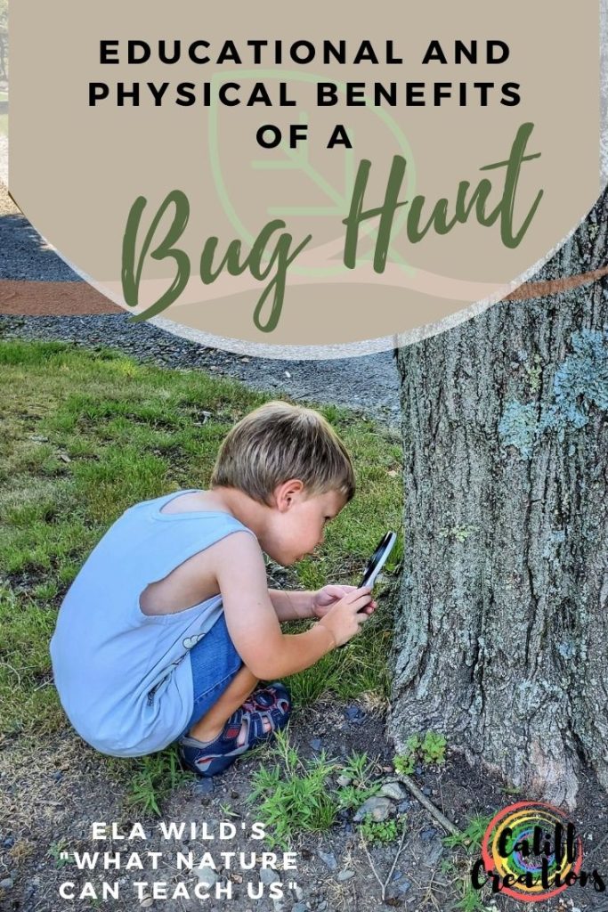 Educational and Physical Benefits of a Bug Hunt