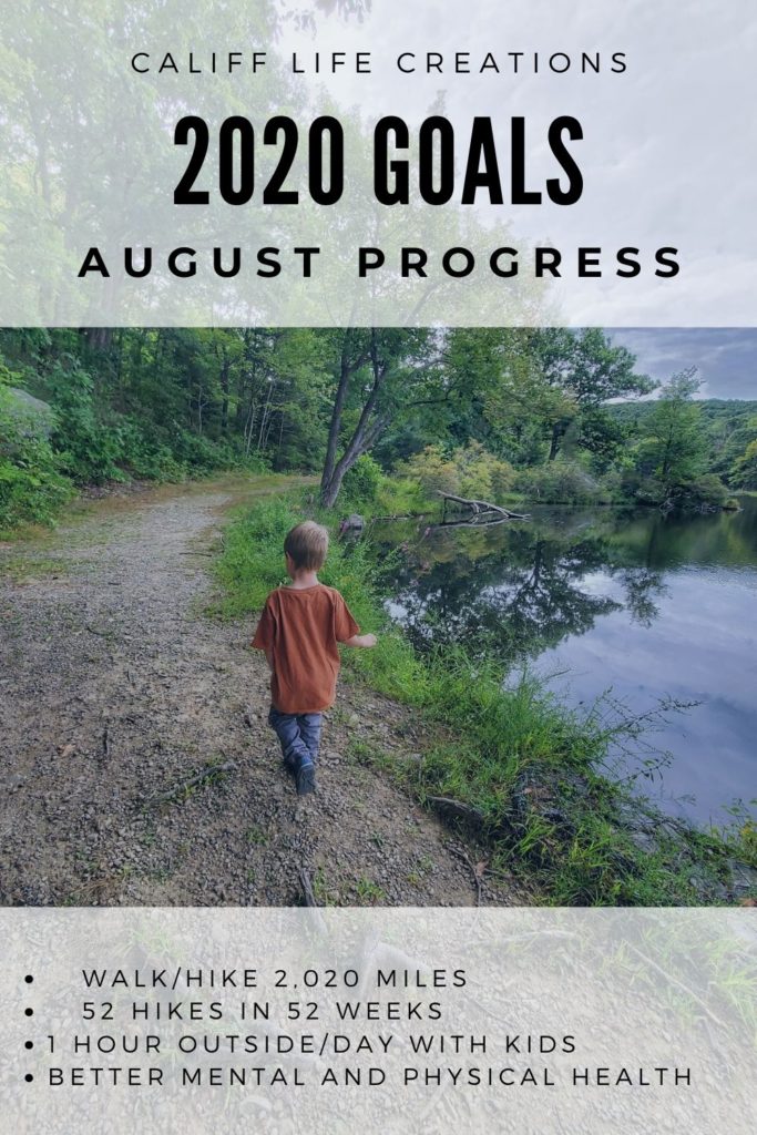 2020 Goals: August Progress