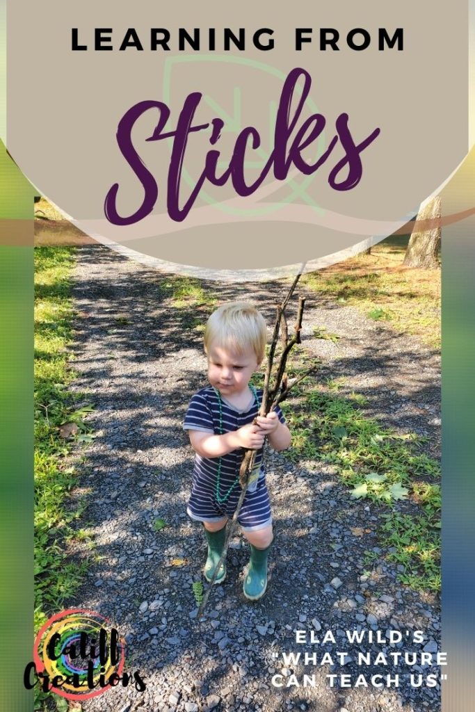 Learning from Sticks: Ela Wild What Nature Can Teach Us