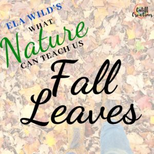 Fall Leave and Fall Play Ela Wilds What Nature Can Teach Us