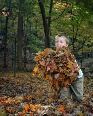 picking up a pile of leaves during some fall play