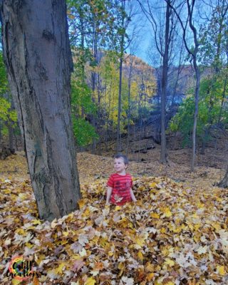 in the woods in a giant pile of leaves