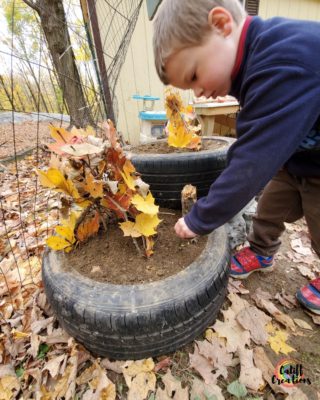 building fairy houses with sticks and leaves