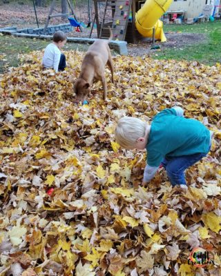 Playing outside in leaves: outdoor sensory play