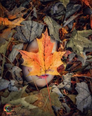 My son with a leaf on his face: fall play ideas