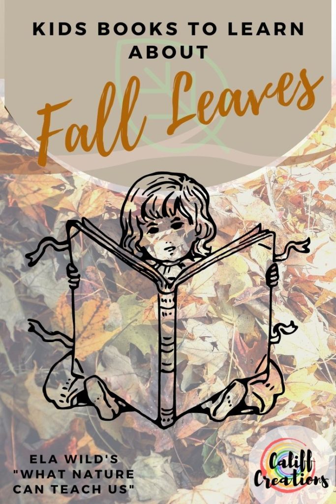Kids books to learn about Fall Leaves - fall-themed books