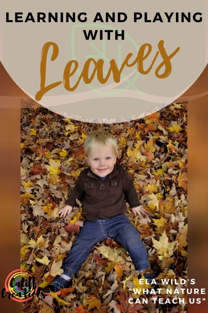 Learning and Playing with leaves