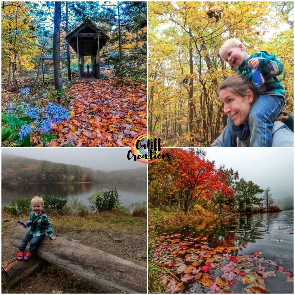 fall hiking with my toddler