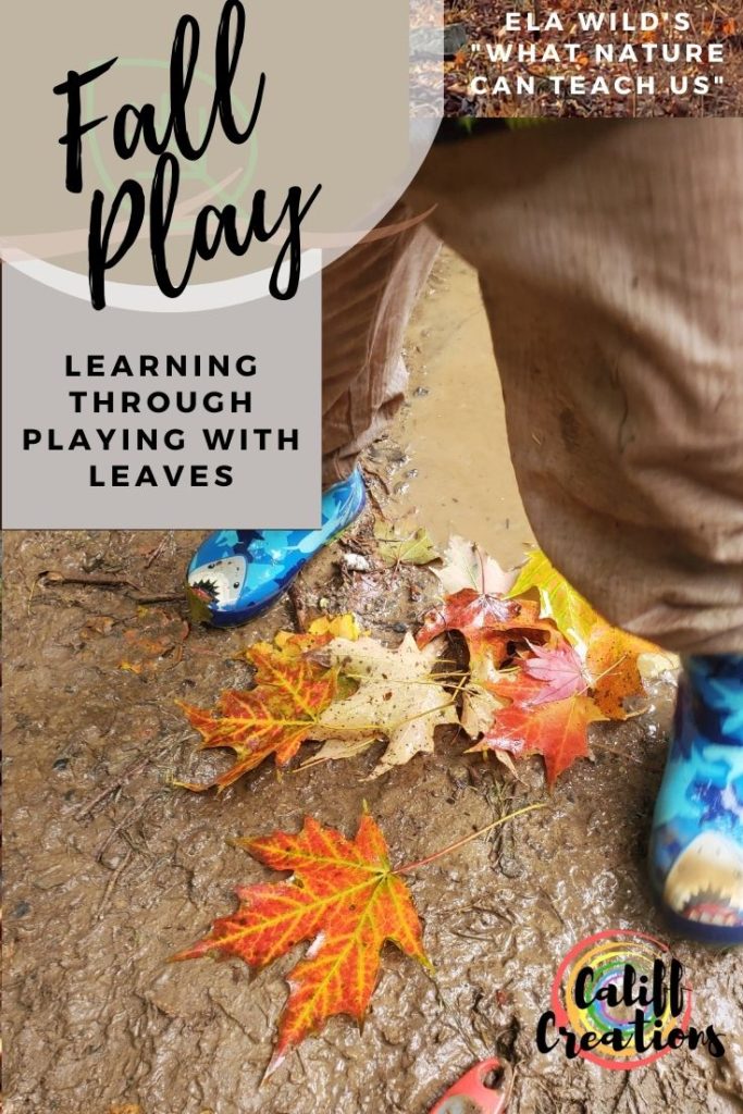 Fall Play: Learning through Playing with Leaves