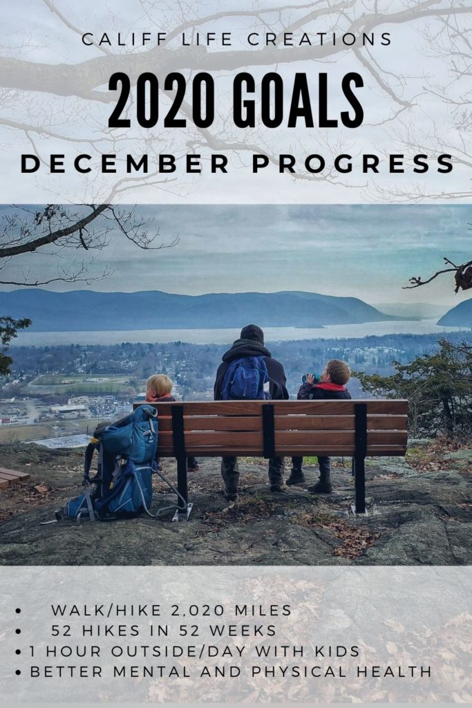Califf LIfe Creations 2020 Goals: December Progress