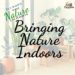 Indoor Nature - bringing nature indoors for kids