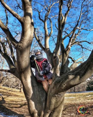 My son in a tree with his tape measurer during a family outing