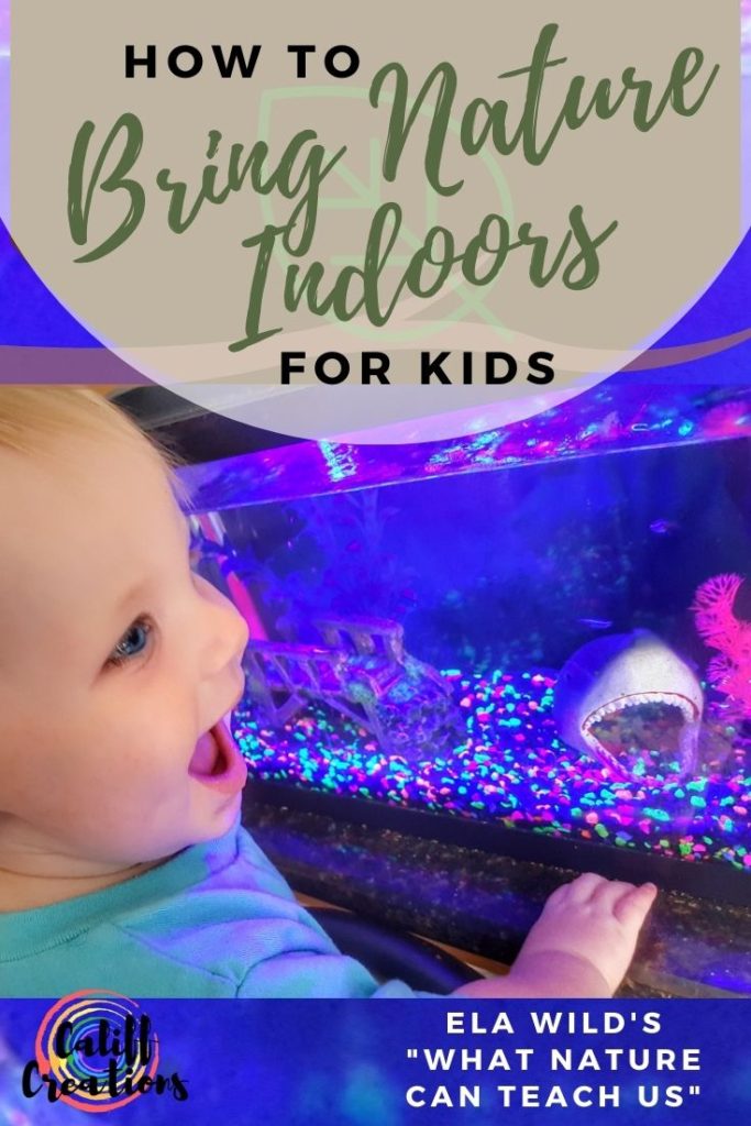 How to Bring Nature Indoors for Kids - Indoor Nature