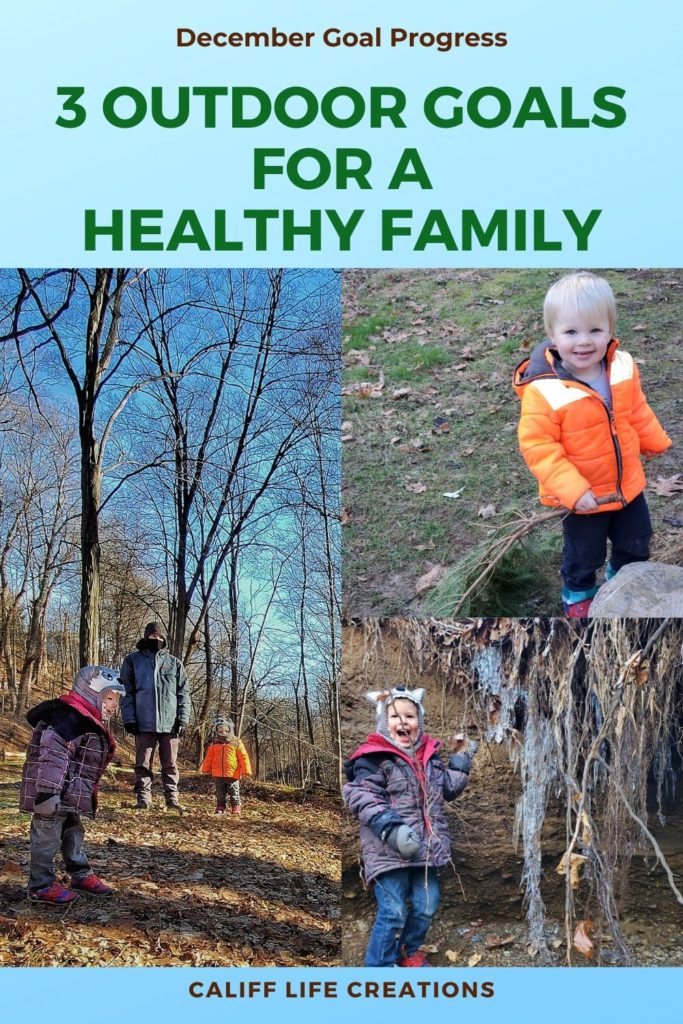 3 Outdoor Goals for a Healthy Family : December Review