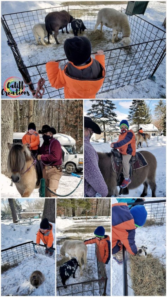 the petting zoo and pony rides at Woodloch