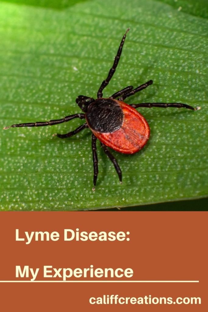 Lyme Disease : My experience Pinterest Image