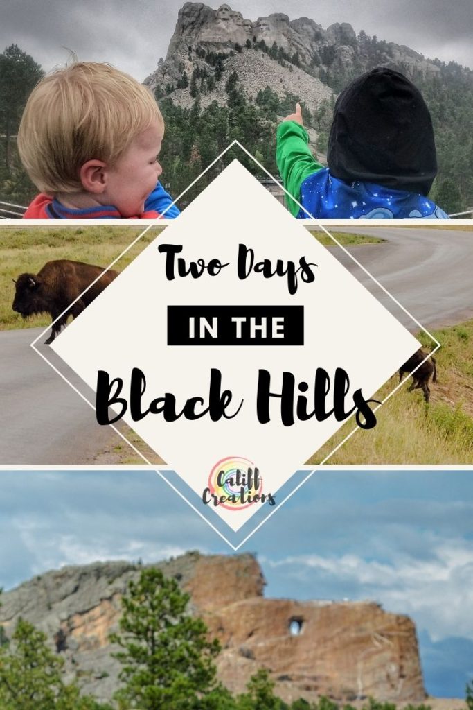 Two Days in the Black Hills