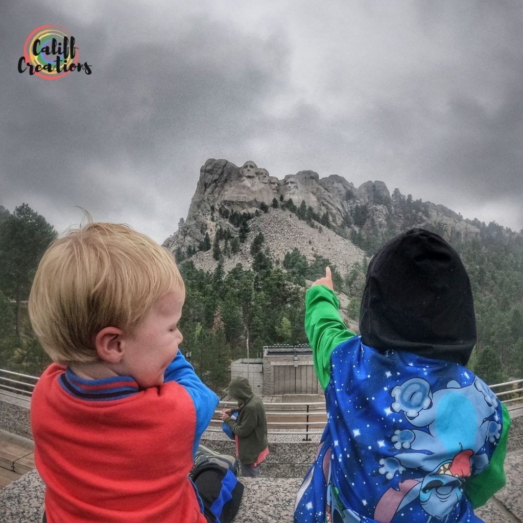Our boys first time at Mount Rushmore