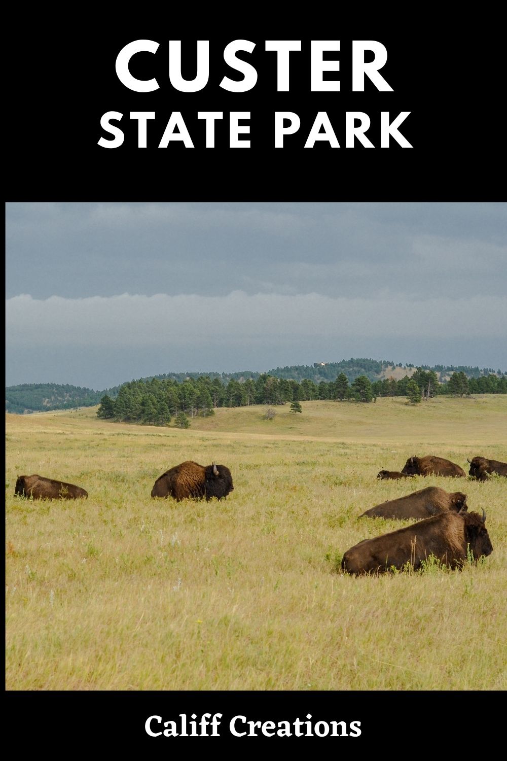 Black Hills Must-See List for Families | Califf Life Creations