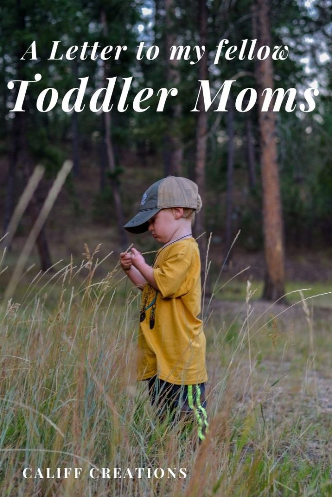 A letter to my fellow toddler moms