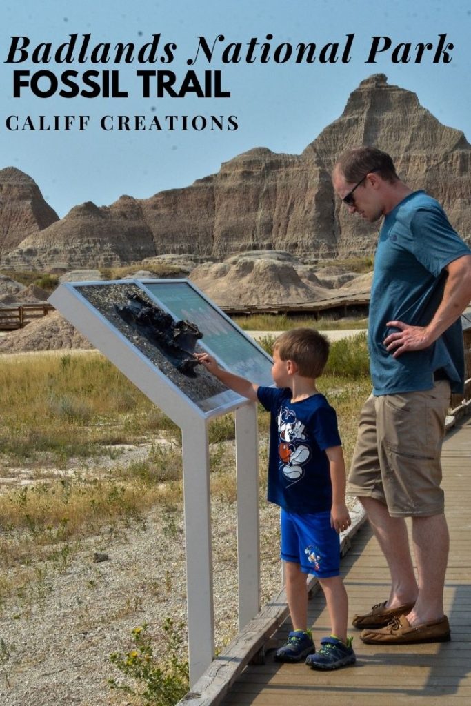Badlands National Park - hiking the fossil trail